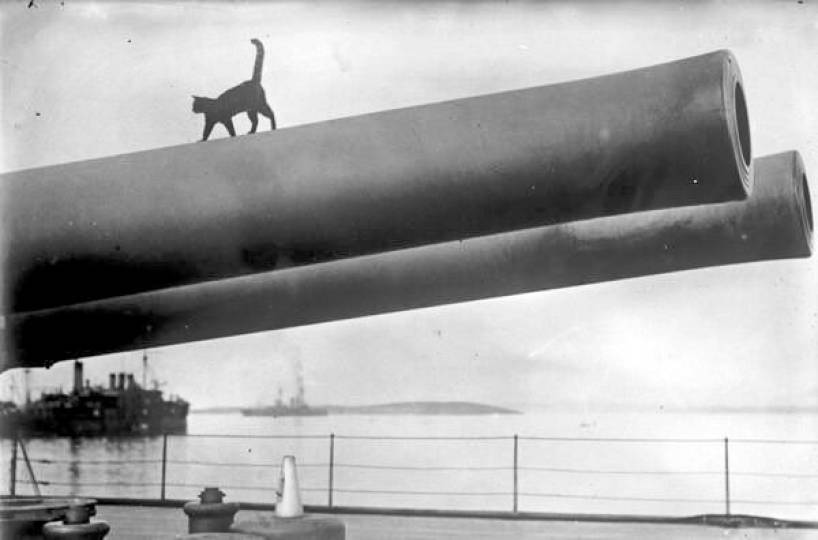 1915'te topun namlusu üzerinde yürüyen bir kedi. O zamanlar trafo yokmuş demek ki...