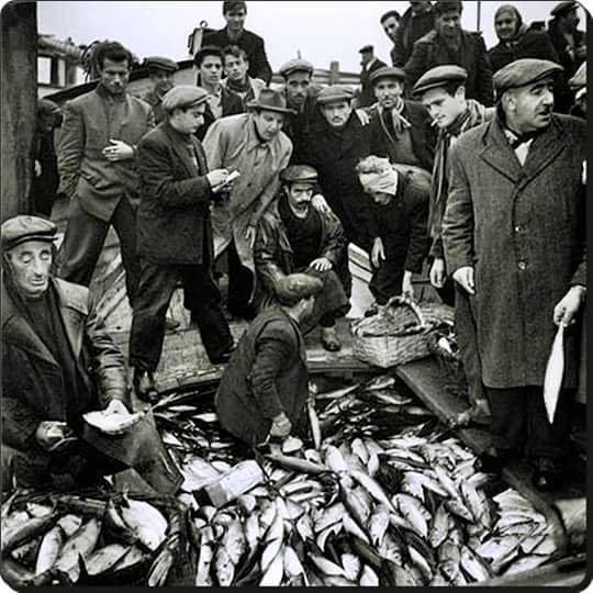 1952 yılında İstanbul, Kumkapı balık mezatı. (Fotoğraf: Ara Güler)
