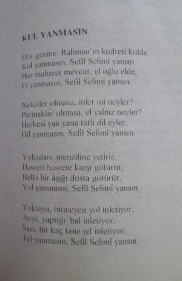 Sefil Selimî yanmasın - Resim : 2